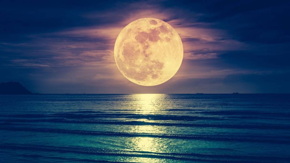 PsF_Preppers's tweet photo. Calendario Lunar del mes de Abril del 2022.

📌1 de abril – Luna nueva
Tiempo cuando la Luna se encuentra situada exactamente entre la Tierra y el Sol, de manera que su hemisferio iluminado no puede ser visto desde nuestro planeta. https://t.co/KWT1U6CXh6