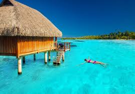 Trinity_Res's tweet photo. #Parkstayandcruise or #flystayandcruise or #parkstayandfly with Trinity Reservations. Packages include free long term parking, round trip cruise port or airport shuttle with free hot breakfast! https://t.co/p22WzGqE1A https://t.co/Bdw3g3cL2f