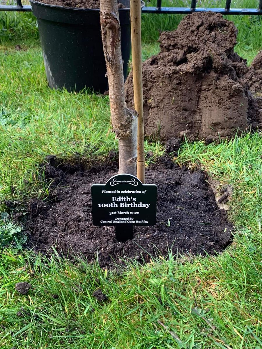 Paul Stilling tweet media