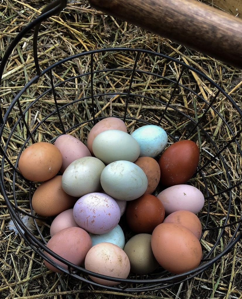 The Consumer Brand tweet media