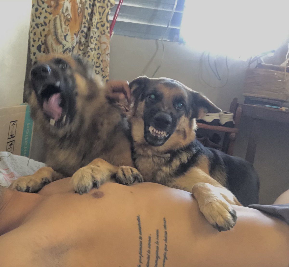 rabassa_richard's tweet image. Cuando te das // Cuando t saluda 
en el dedo         // la q te cae mal
chiquito del pie//