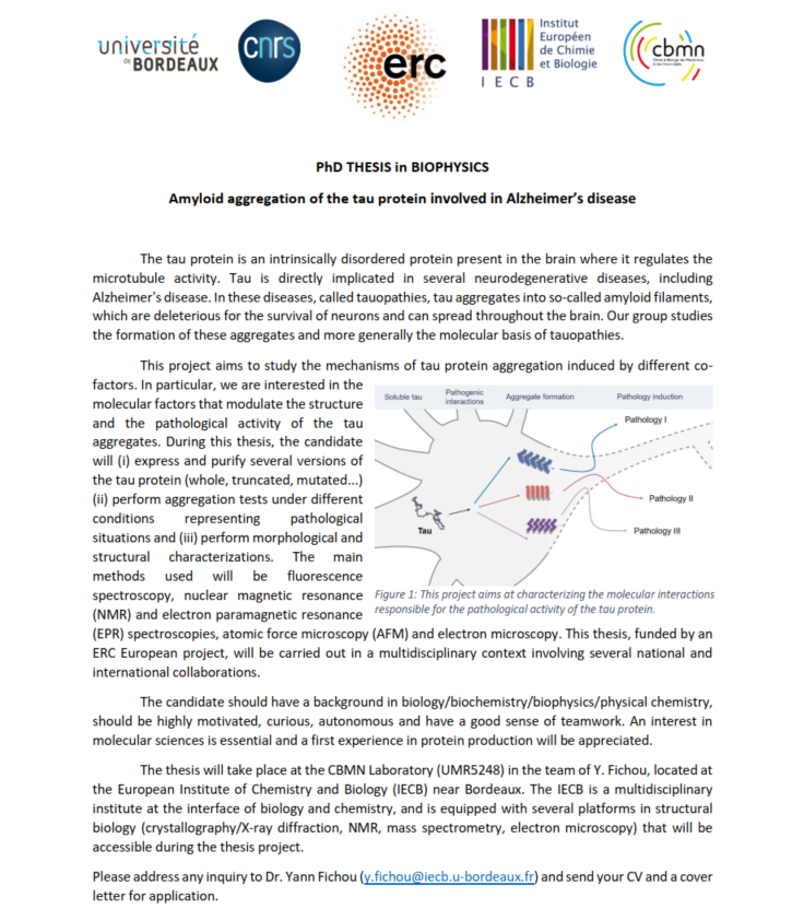 YFichou's tweet photo. Hiring my first PhD student on my ERC project!! We'll focus on the tau protein and the molecular basis of Alzheimer's disease. https://t.co/mlO1sr7c1x