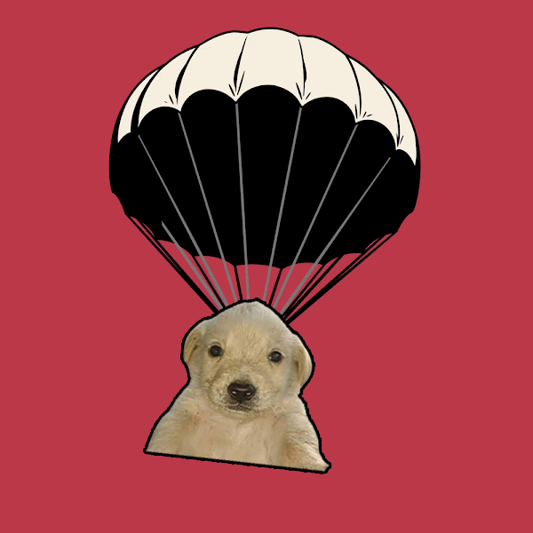 THIS is the real reason holders of <a href="/AzukiOfficial/">Azuki</a> are very excited - probably nothing, or something? 
 #SomethingOfficial 
#joke #NFT #NFTCommunity #azuki #nftgiveaway #nfts #NFTdrop  #AzukiZen #AzukiZen