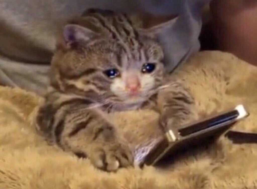 tactical. tweet media