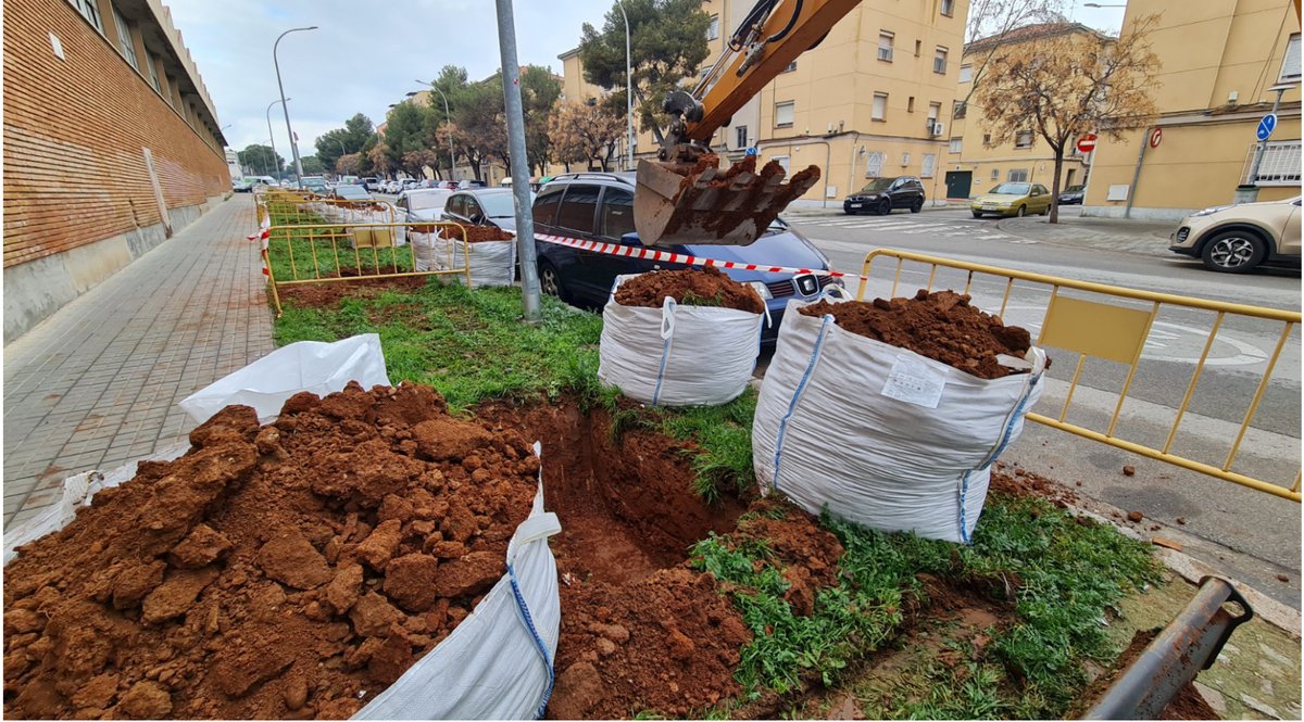 Aj_Sabadell's tweet photo. #NOTÍCIA ➡️ Sabadell ha plantat 2.382 arbres des de juny de 2019
📌 Més informació: https://t.co/t0ILPOMKDW
#Sabadell #RumbalFutur #SabadellenMarxa #SabadellMésVerda #Fembarri https://t.co/Vx59AQ4Axs