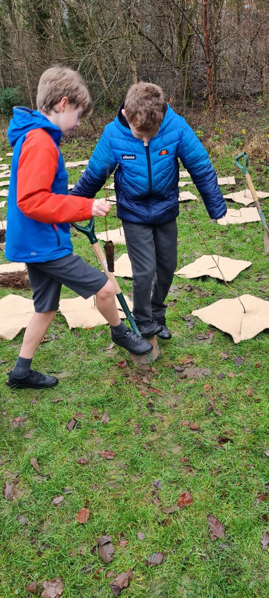 giffnockprimary's tweet photo. Message from our Eco Committee: we would like to ask our friends, family and local community to help us name the new woodland area we planted earlier this term. Our classes voted for our top 3 names that the pupils came up with and you can vote in the poll below. @HuntlyFriends https://t.co/26uIjSrm4q