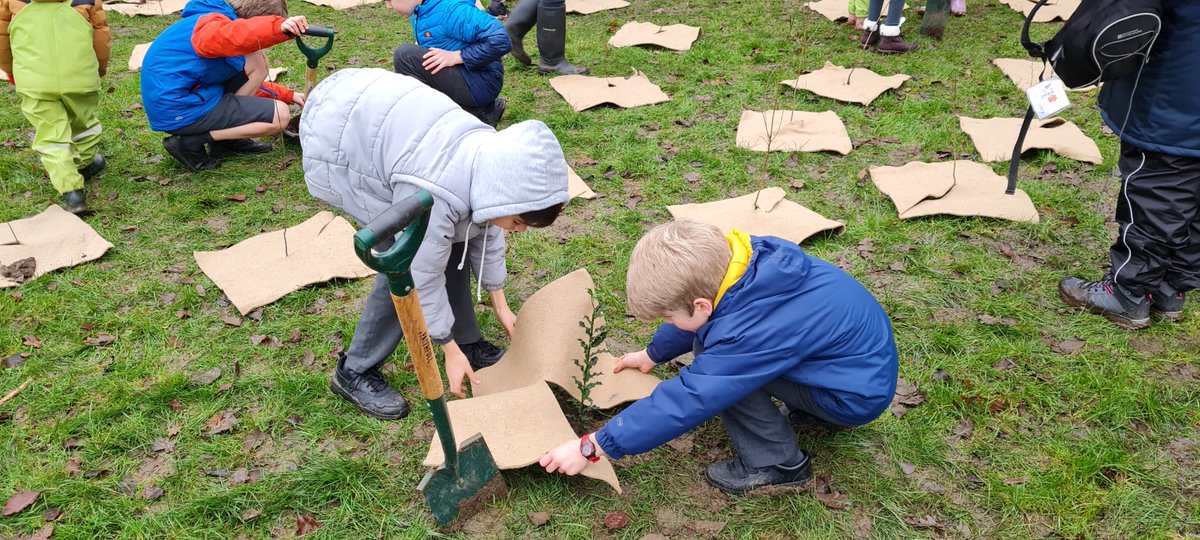 giffnockprimary's tweet photo. Message from our Eco Committee: we would like to ask our friends, family and local community to help us name the new woodland area we planted earlier this term. Our classes voted for our top 3 names that the pupils came up with and you can vote in the poll below. @HuntlyFriends https://t.co/26uIjSrm4q