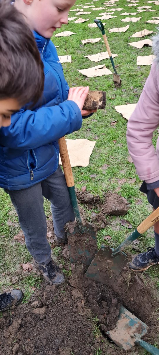 giffnockprimary's tweet photo. Message from our Eco Committee: we would like to ask our friends, family and local community to help us name the new woodland area we planted earlier this term. Our classes voted for our top 3 names that the pupils came up with and you can vote in the poll below. @HuntlyFriends https://t.co/26uIjSrm4q
