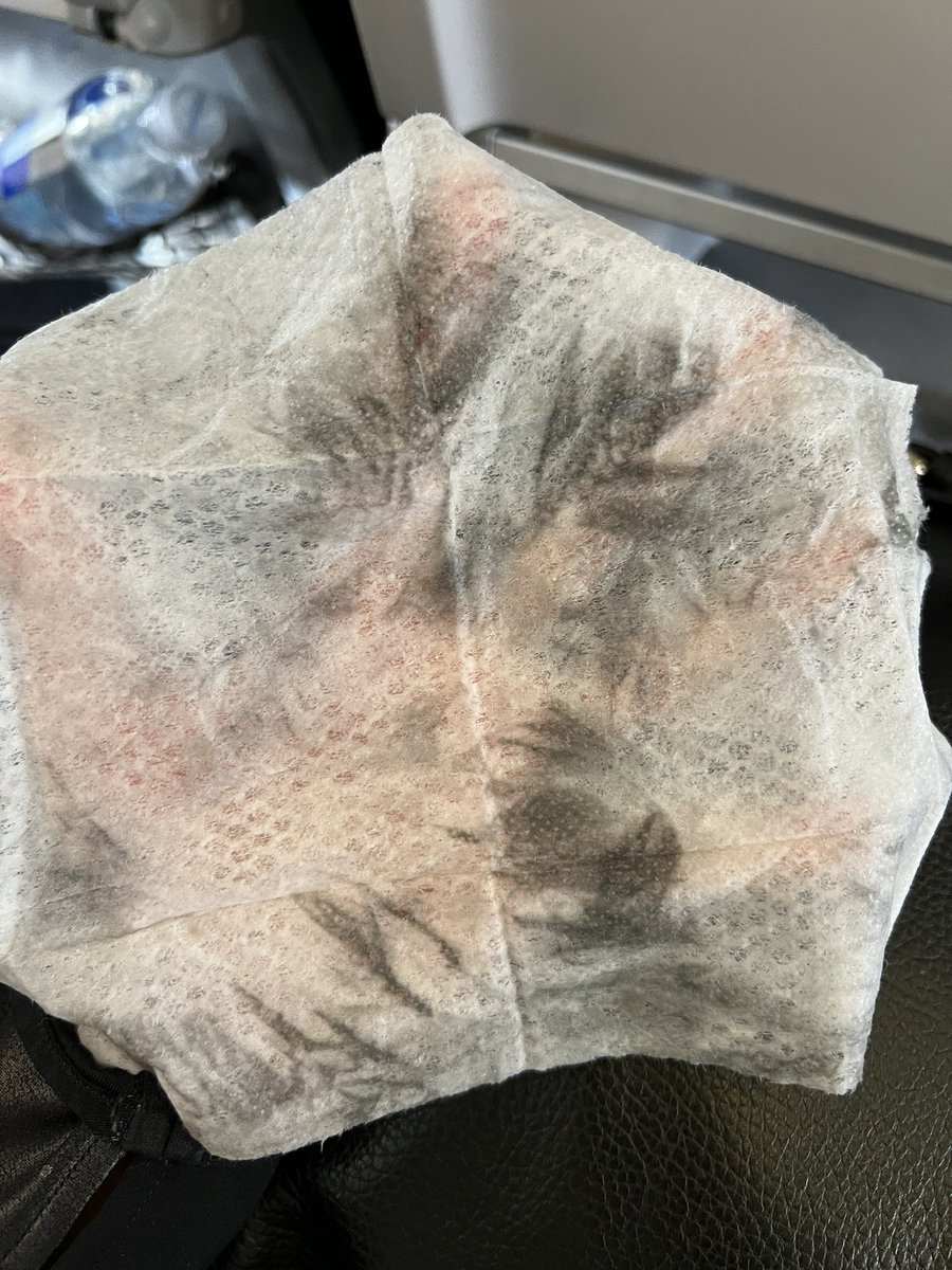 annu2417's tweet photo. This is just from our two headrests on an @AlaskaAir flight. 😔pretty disgusting and disappointed https://t.co/Cv1Z1SF2nM