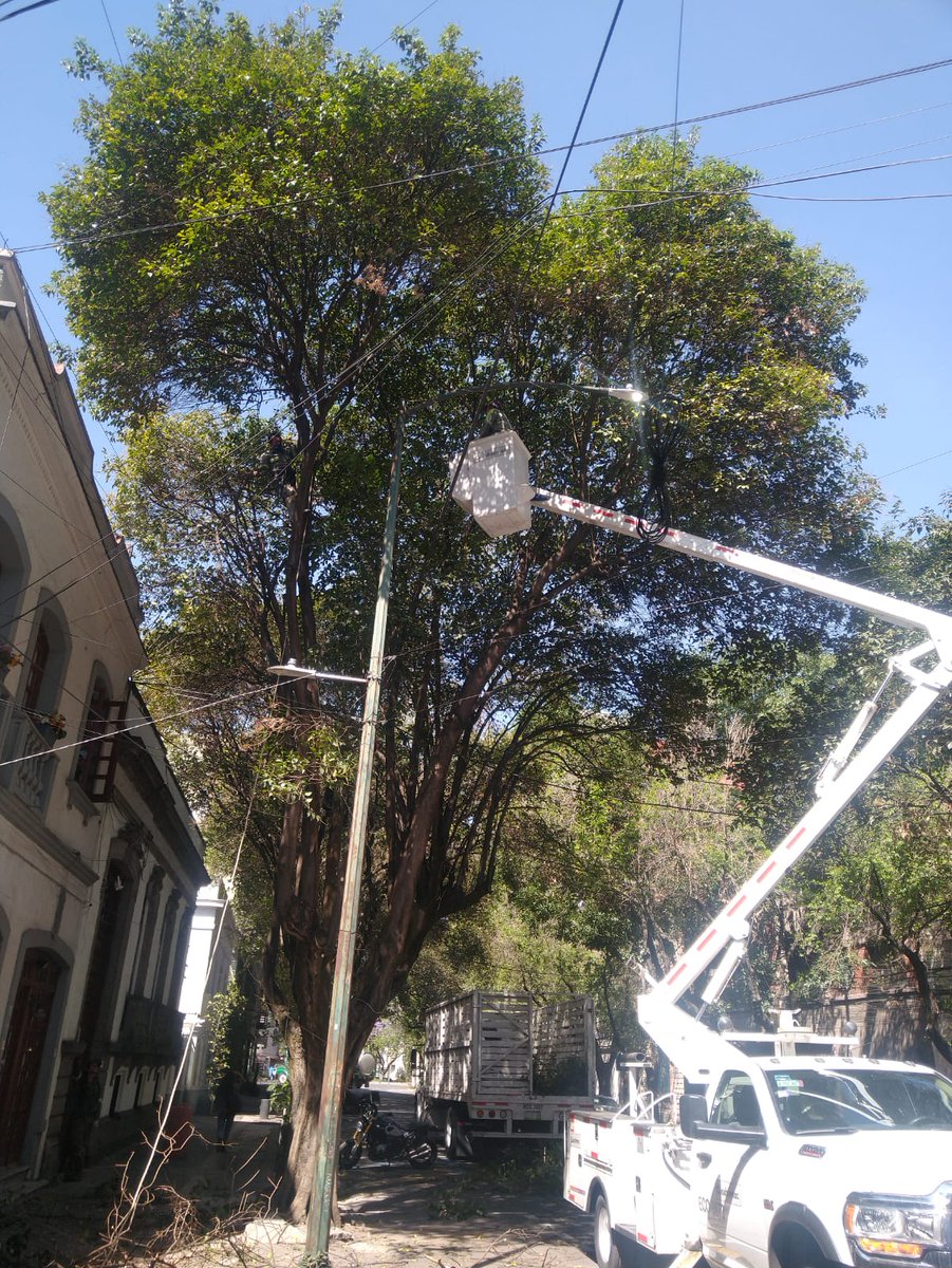 AlcCuauhtemocMx's tweet photo. En #ColRomaNorte y #ColRomaSur realizamos #poda✂️🌳, en las calles Colima y Jalapa. https://t.co/48pxQDzfXA