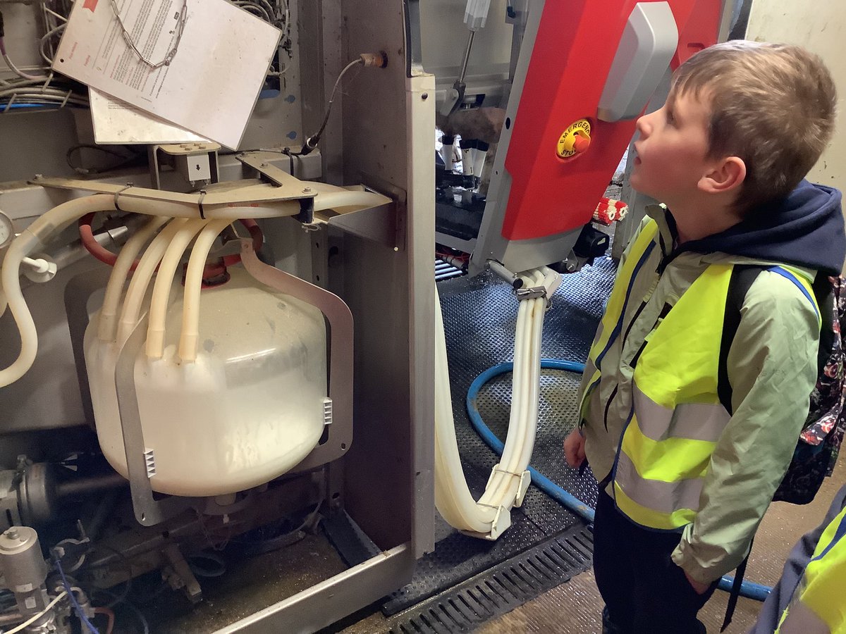 BosburyPrimary's tweet photo. Class 2 visited their third farm of this term! This time it was the robotic dairy farm! We are so grateful to Mr Simcock for having us.  A huge well done to all the children who walked a total of 5 miles to get there and back! #makelearningmemorable https://t.co/c9gvlvaAVp