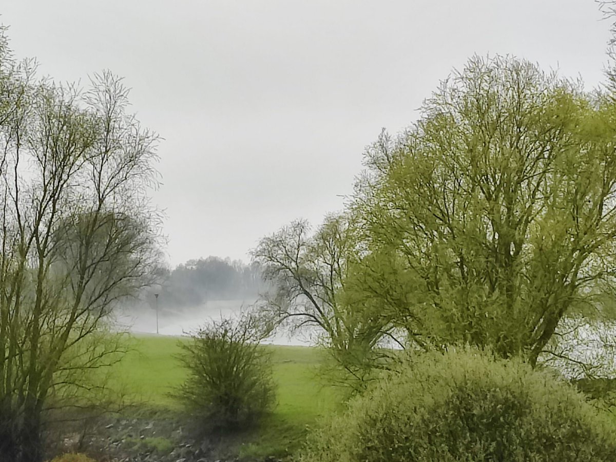 Het IJsselwater is warmer dan de actuele temperatuur vanmiddag.<a href="/mrmiddendorp/">Maurice Middendorp</a> <a href="/weermanrobert/">➡️ Robert de Vries</a> @weermanreinier <a href="/weeronline/">Weeronline</a> Geen ochtendmist zoals gebruikelijk.