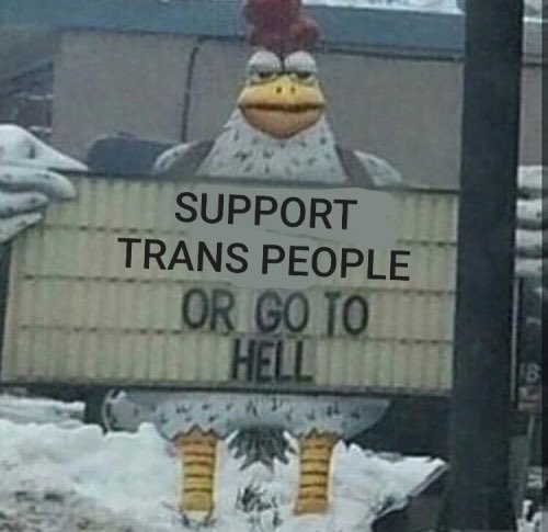 Lex McMenamin (they/them) tweet media