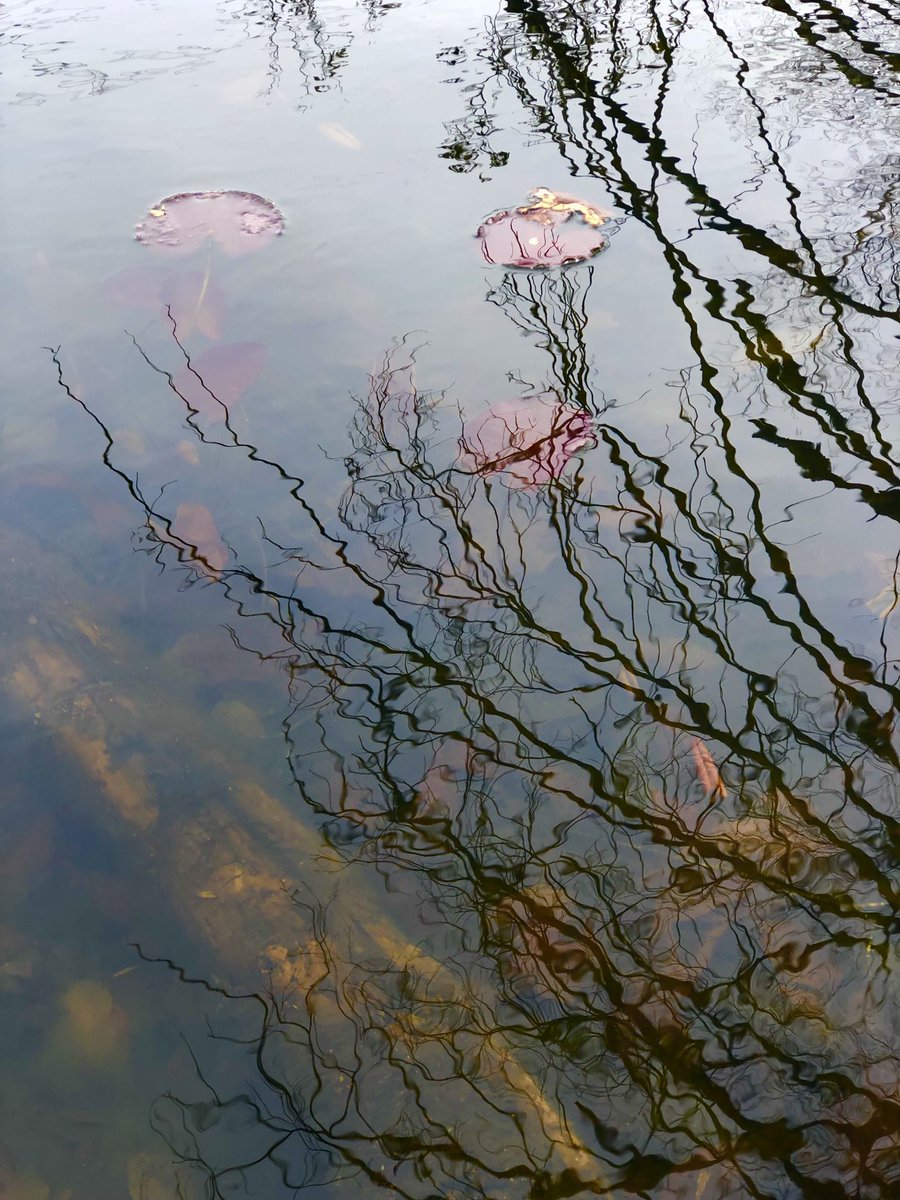 petermarteka's tweet image. Last day of #MarchReflectionChallenge 

Had a lot of fun with it and enjoyed everyone’s photos.