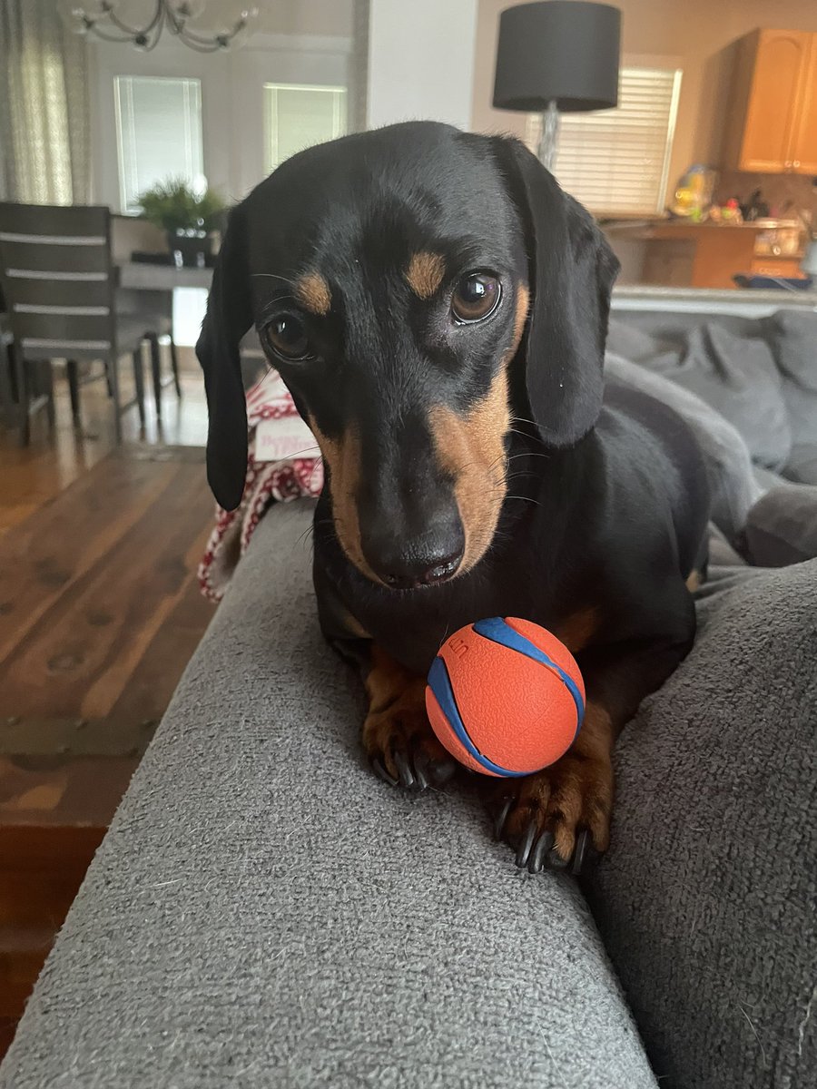 IrishThePen's tweet photo. My lil kick-baller said heโs ready to play๐พ๐คฃ #LilMajor https://t.co/Y1QGgar54q