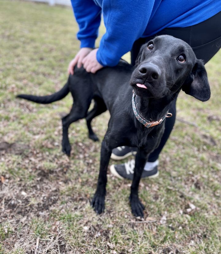 Cedar Bend Humane tweet media