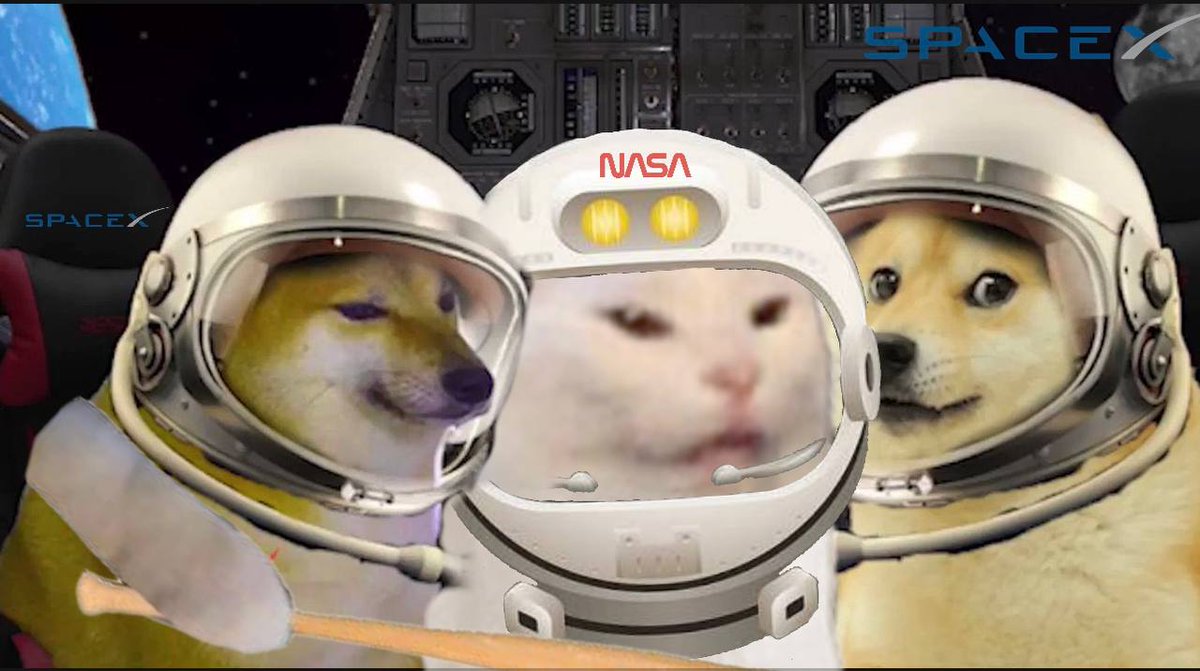 Dess_Catbonk's tweet photo. @1goonrich Absolutely! #BONK 

#CATBONK #memecoin #MEMETECH #1000xGem #DogecoinToTheMoon #CheemsInu #CATBONKARMY https://t.co/DnYGYvyApg