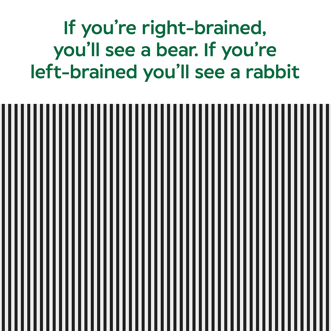 What animal is hidden in this image? 👇