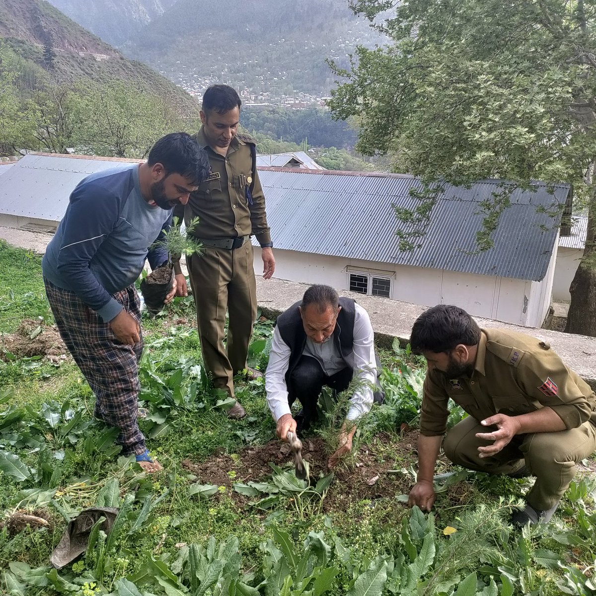 Junaidzhere's tweet photo. Plantation continued at Rest House Bandi Uri. Mom and Dad the ones who taught me this deed of growing greens also planted some.
#Godblessourparents
#PlantingGreenissatisfying
#Greenistheway https://t.co/fMuDkTgUba