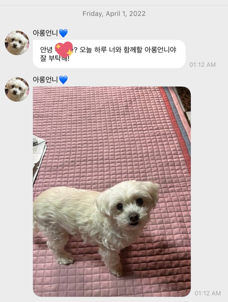 babysunnnny's tweet photo. 하진짜 세상에서 제일 사랑스러운 만우절 장난 1위로 선정됨 지금 https://t.co/kQ9ObTHWcp