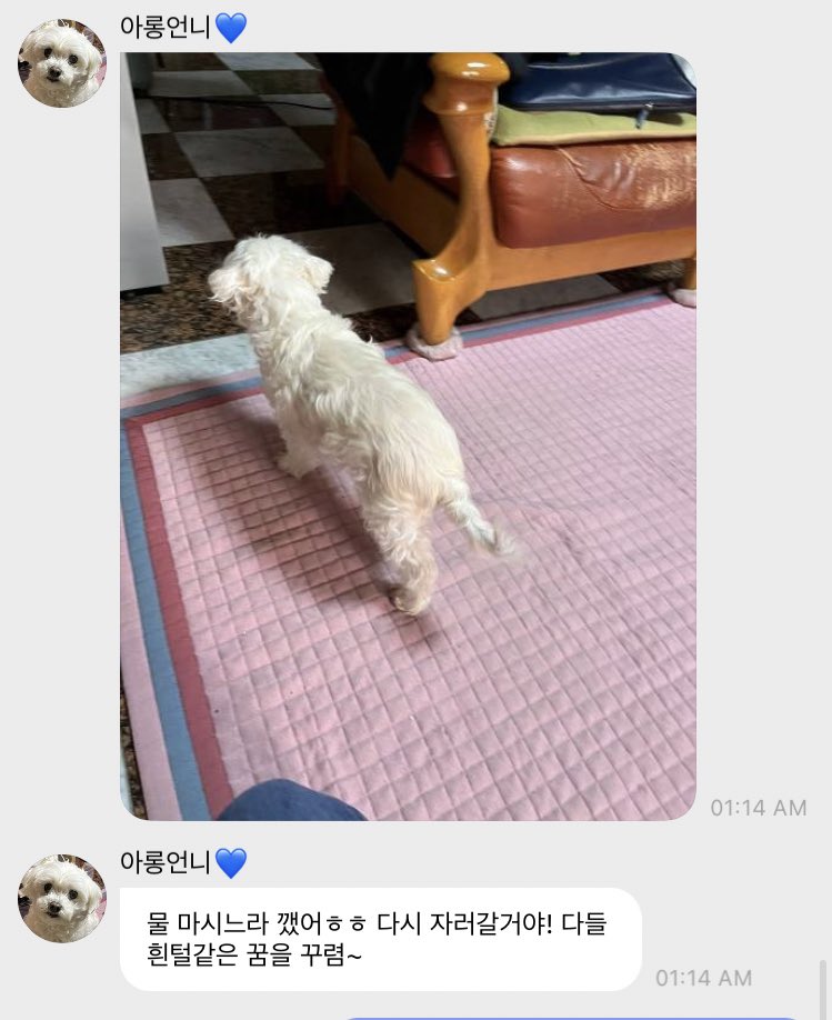 babysunnnny's tweet photo. 하진짜 세상에서 제일 사랑스러운 만우절 장난 1위로 선정됨 지금 https://t.co/kQ9ObTHWcp
