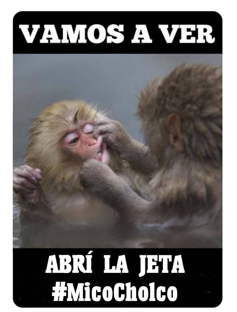 FenixUlloaVP's tweet photo. #MicoCholco enseñándole a Portillo Cuadra su dentadura chimuela  🤭 https://t.co/L7Ft9DVbUn