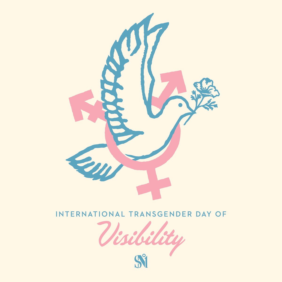 Studio Number One tweet media