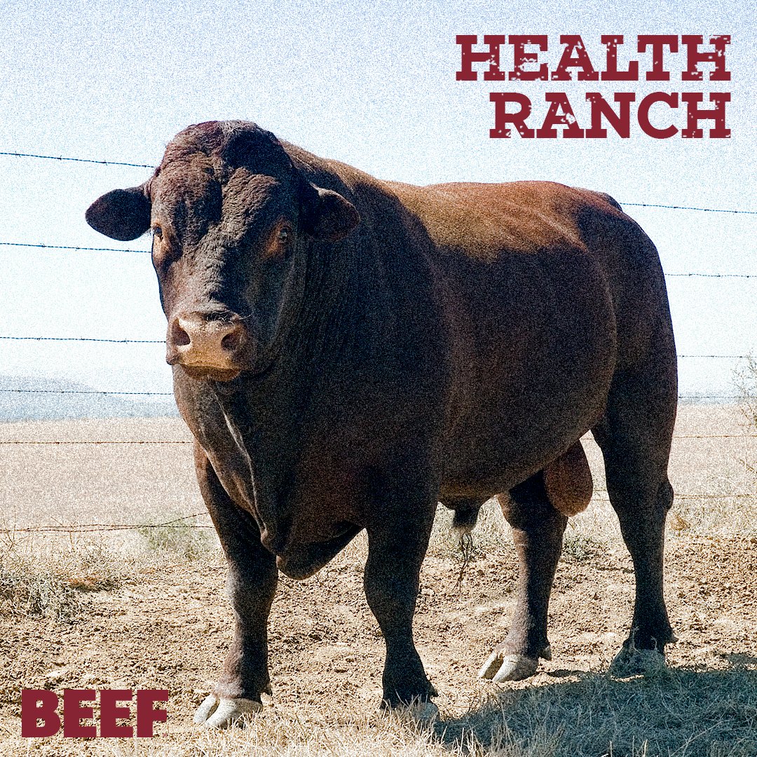 BEEF Magazine on Twitter "Need help creating a rocksolid health