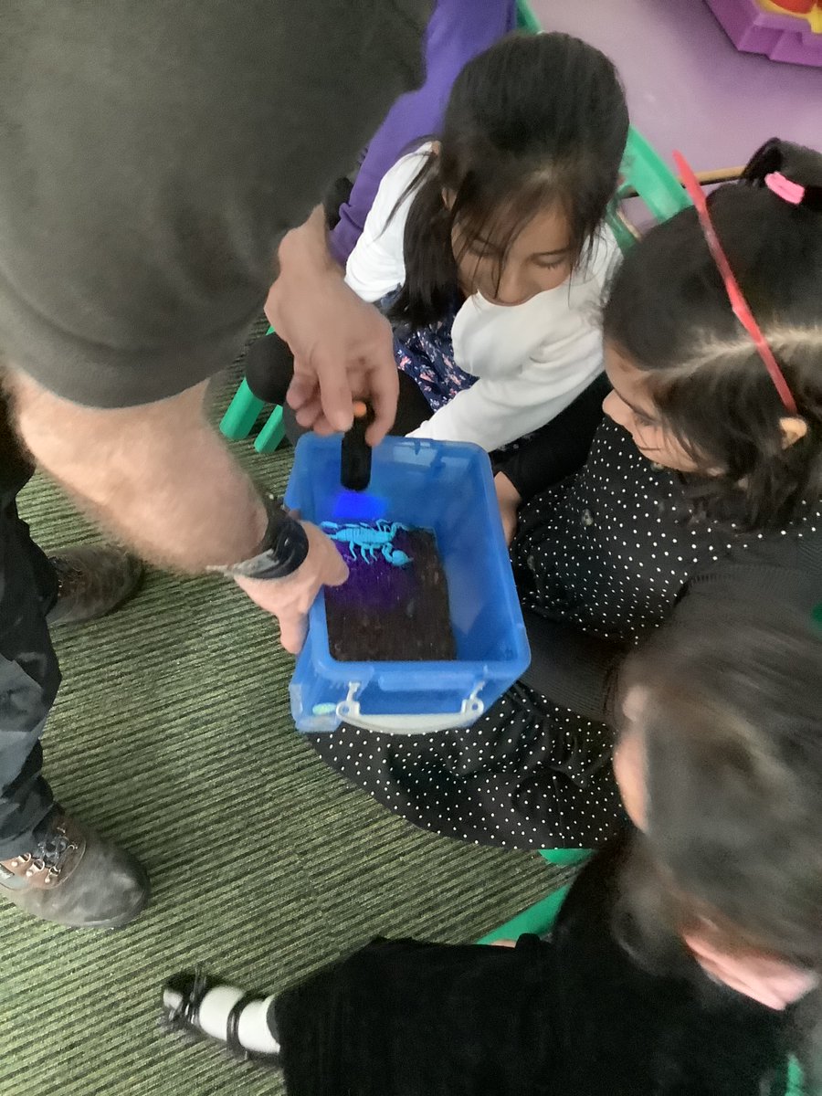 olive__preston's tweet photo. Year 1 had a great Super Learning Day all about animals. #Science #MakingLearningComeAlive #Ambition #WeAreSTAR https://t.co/66VK7qdsrW