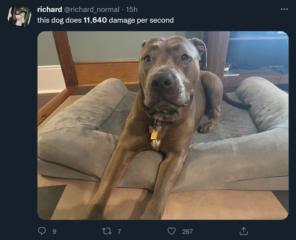 Zullie tweet media