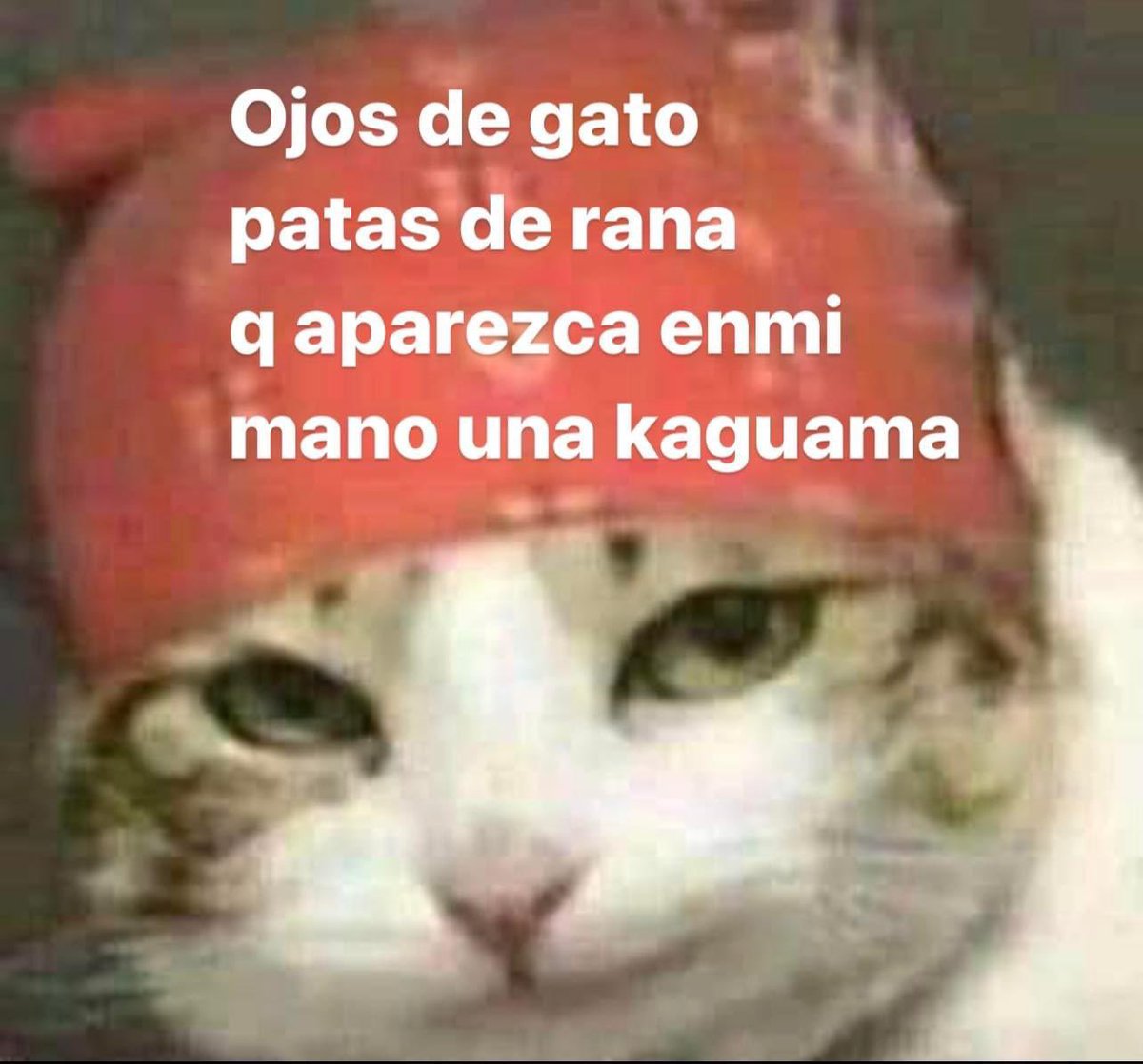 BenitoSustaita's tweet photo. @taekoogold @DanielaRodrice No lo veía venir, hermana https://t.co/L00VEOWSBv