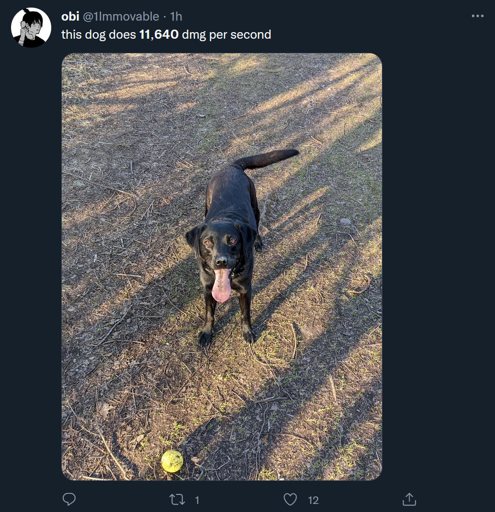 Zullie tweet media