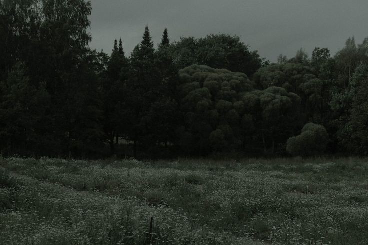 [`°•🦋•°`] — как проходит твой день, искорка? было ли что-то интересное? я бы послушал. 

ничего не болит?