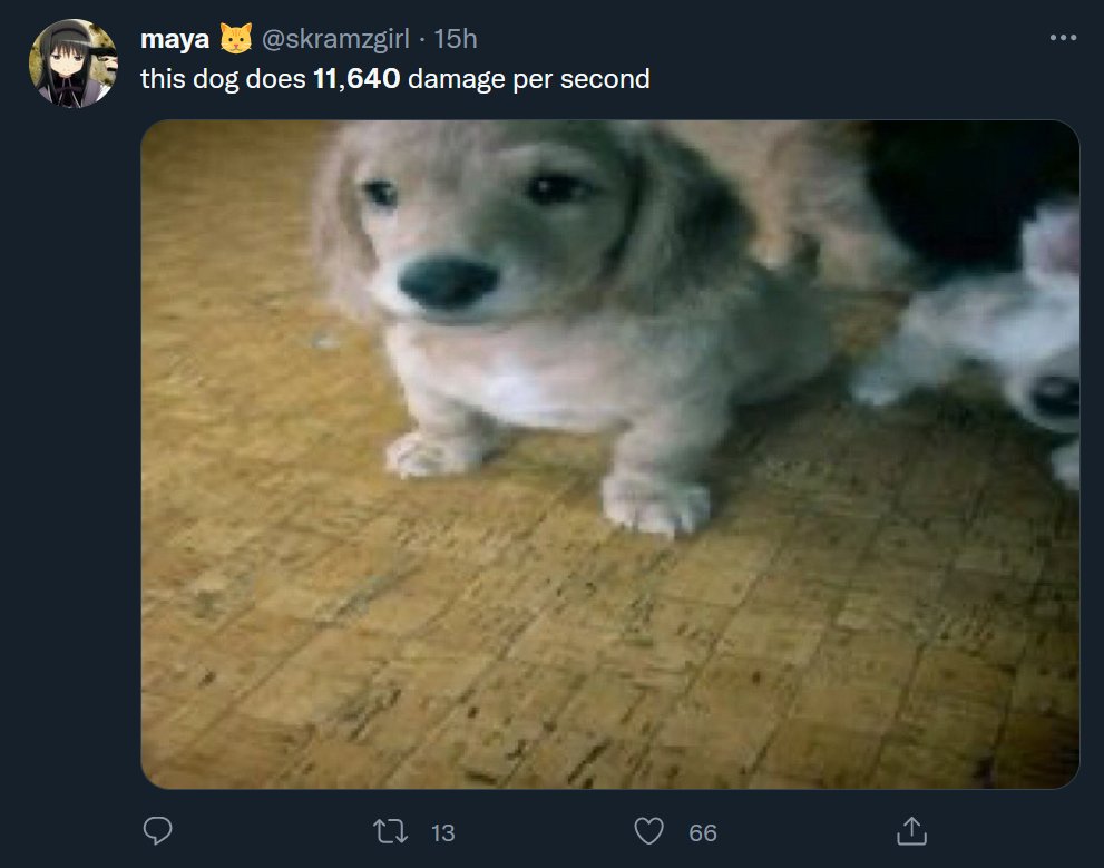 Zullie tweet media