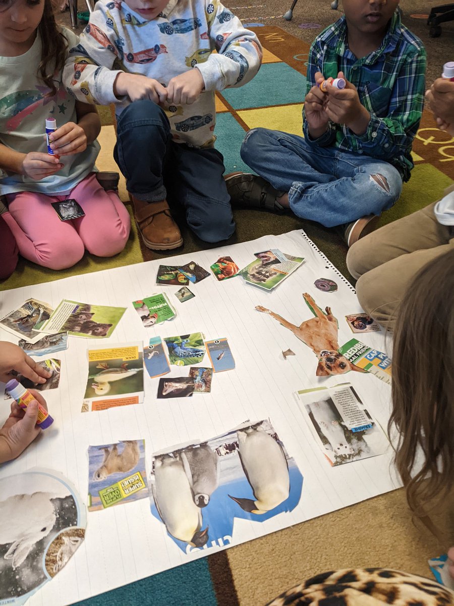 Amanda_Parks3's tweet photo. @CaprockES @letterland @prek
Practicing classifying, gluing and making a ZOO- celebrating Zig-Zag Zebra! https://t.co/6eVc7nqzs2