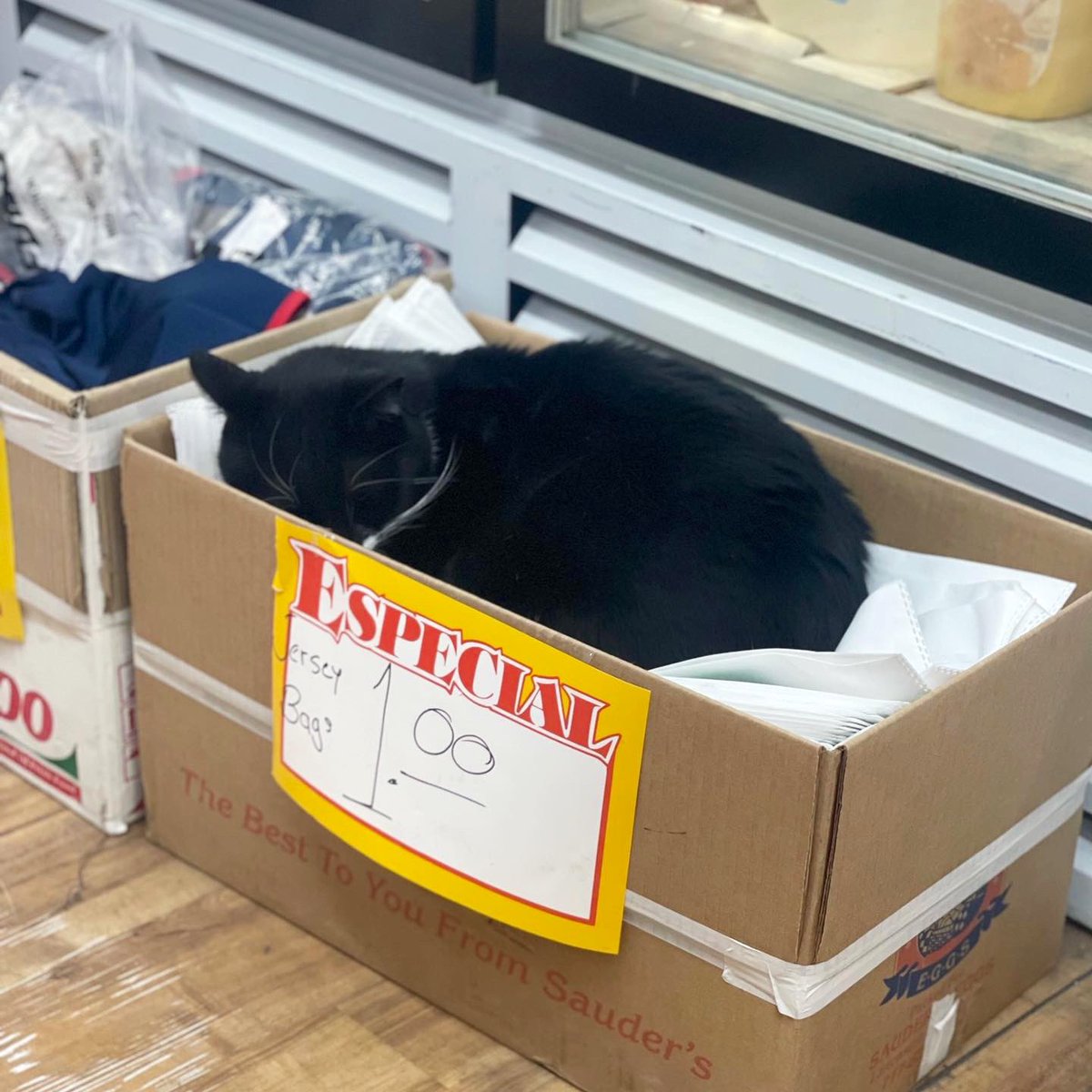 Bodegacats_'s tweet photo. https://t.co/9SkjbnHZqg