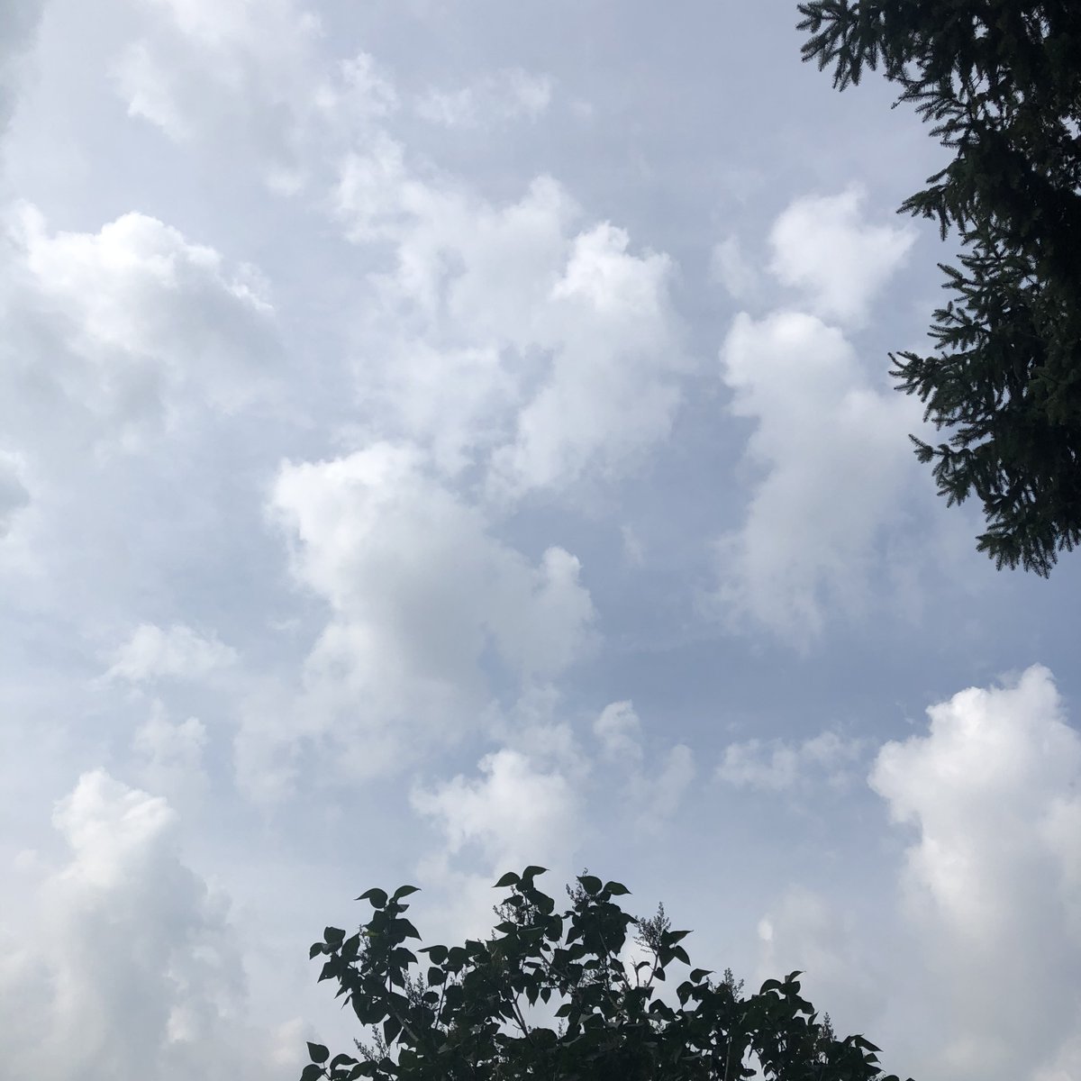 touchofeterni7y's tweet photo. Clouds, I love them. What's about you?

#art #clouds #sky #heaven #NFTs #NaturePhotography #NFTphoto #ArtistOnTwitter #NFTCommuntiy https://t.co/hoHHgThk7o