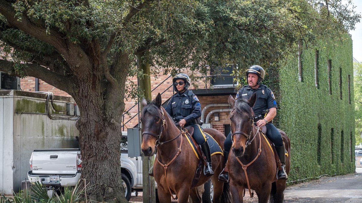 CharlestonPD's tweet photo. We’re happy to announce the return of our Mounted Patrol Unit! The Charleston Police Department is collaborating with Palmetto Carriage Works, the Charleston Downtown Alliance and @ExploreCHS to bring back the Mounted Patrol Unit. https://t.co/fXAQfmLx2n