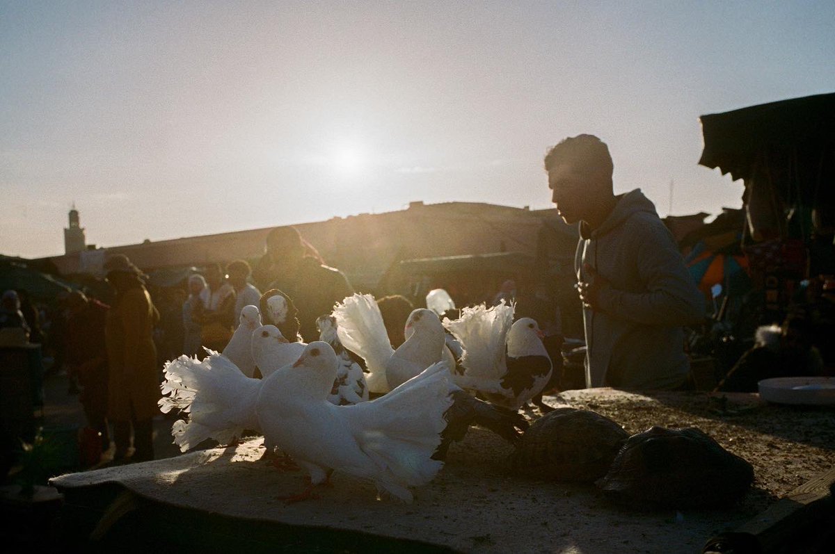 oussou4real's tweet photo. Marrakech, March 2022
🎞 Kodak portra 400
📷 Leica M7 https://t.co/KoSVTbXi6m