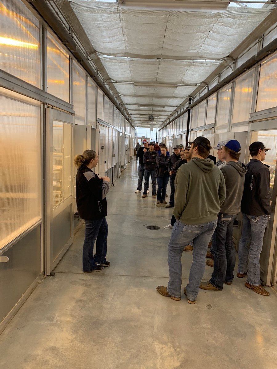 letsgofarmin's tweet photo. Day 2. https://t.co/Gch6N3jXDj