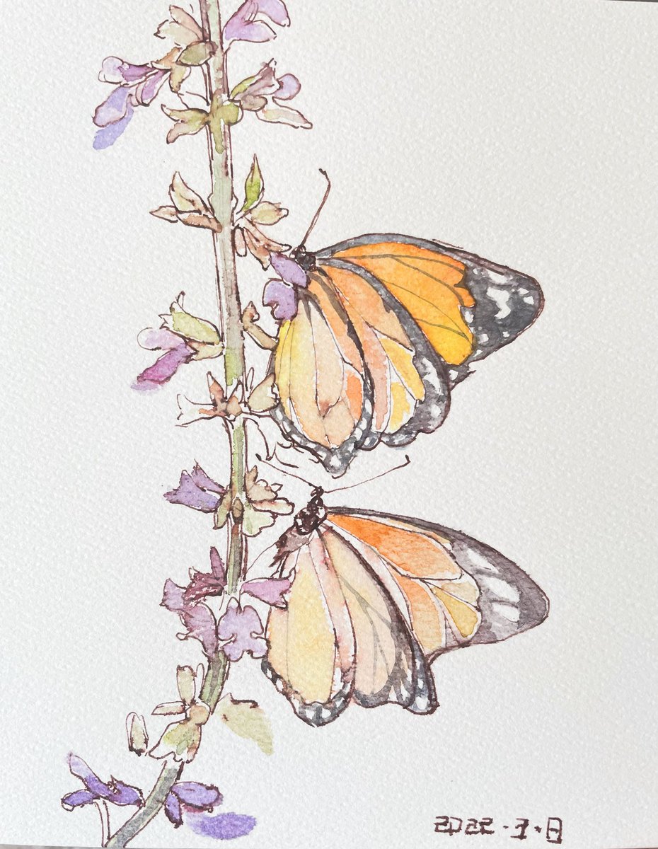 nomo (@p7EQavBNDc2SCZi) / Posts / X