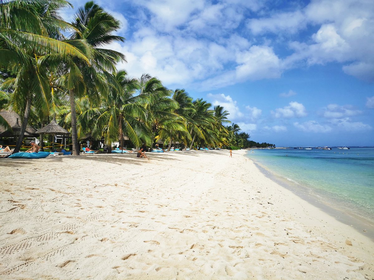 Stef_Liebermann's tweet photo. GM 😊 I am just chilling in Mauritius and enjoy the paradise. Wish you all a beautiful day. 😍

@Mauritius #NFT #NFTCommunity #NFTCommunity #nftphotography #Mauritius https://t.co/CmtIcJNYOv