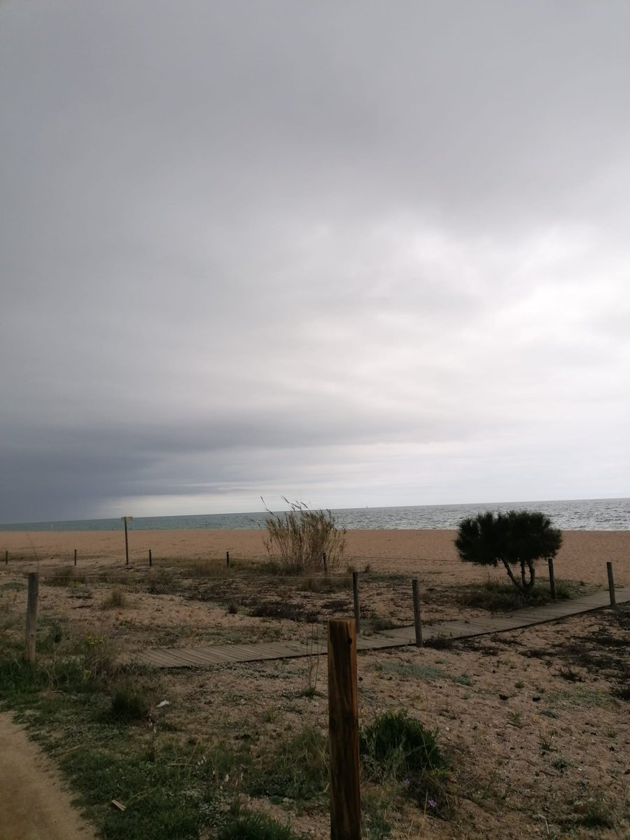 radiocanetdemar's tweet photo. Divendres!
-#Informacions @ajcanetdemar @ccmaresme @tempscanet
-PER FI DIVENDRES: Amb #Teatre! Per una banda "#UnFuneralDeMort" amb la Cia "Funeral Party" @ElCentruCanet
Per altra banda"#LaMamaDelsArbres" Cia. #Festhocomvulguis @TMCanet
-DIVENDRES DE CINE: #Mireia
-@oriolugo https://t.co/a7RWJAP179