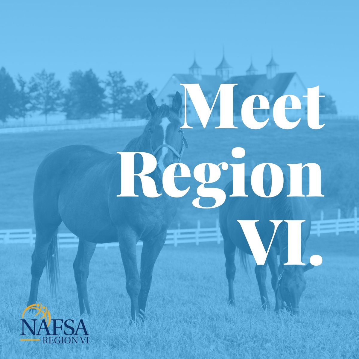 Get ready to meet your Region VI Leadership Team! We'll be featuring a team member every week as we lead up to our Bi-Regional Conference with Region VII this fall.