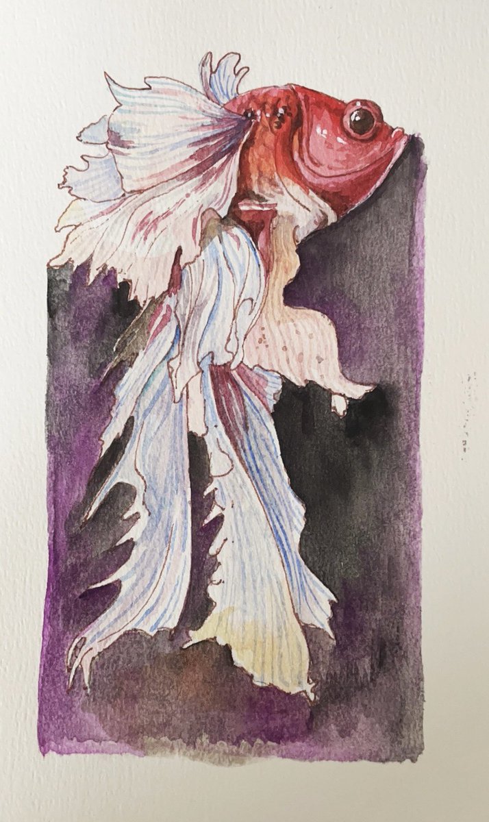 nomo (@p7EQavBNDc2SCZi) / Posts / X