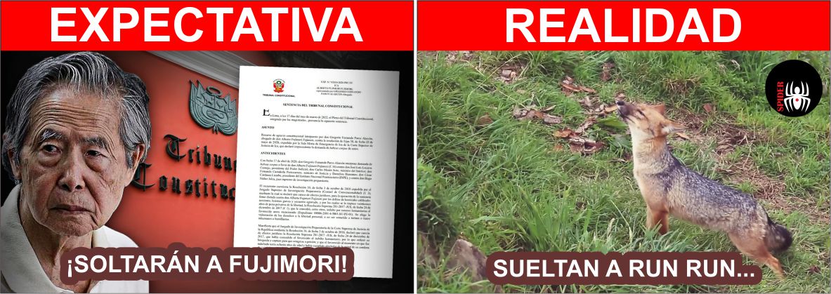 QuintoPoderPe's tweet photo. RATA // ZORRO. https://t.co/adf2xXJ97B