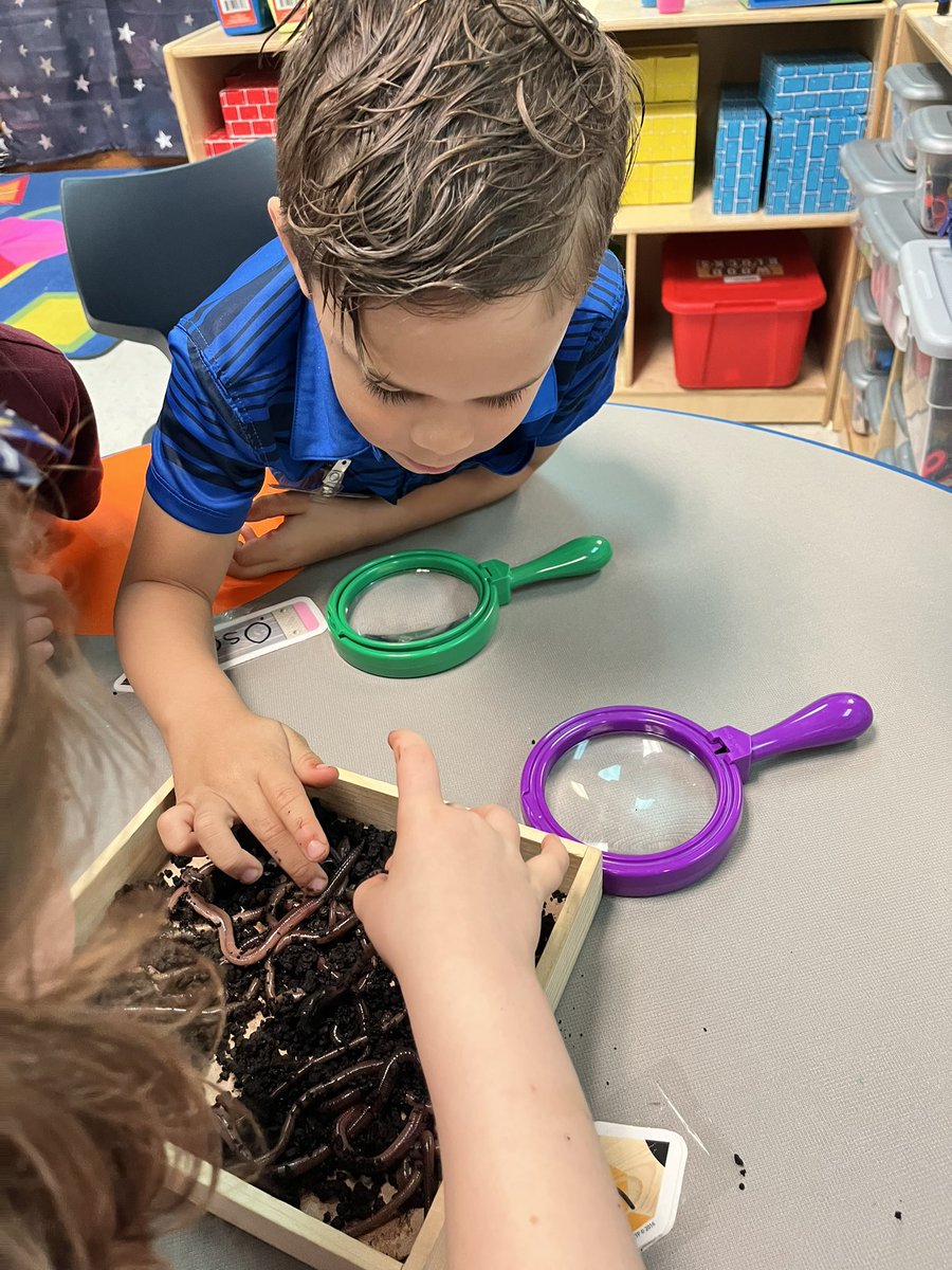 mrs_jander's tweet photo. Learning Fun with earthworms. In PreK we play, learn &amp; grow together! @NolaKWilson @OfficialCISD https://t.co/E7wlUXF8Hm