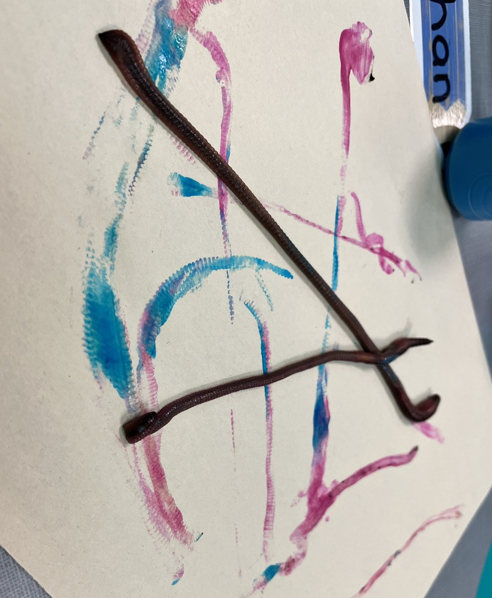 mrs_jander's tweet photo. Learning Fun with earthworms. In PreK we play, learn &amp; grow together! @NolaKWilson @OfficialCISD https://t.co/E7wlUXF8Hm