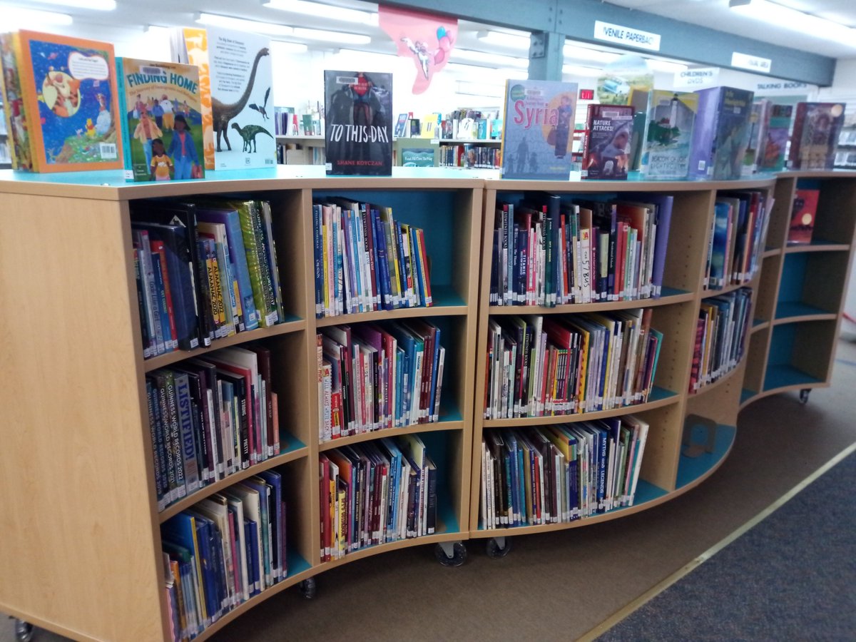 Come check out our NEW Children's Non-Fiction shelves! They're so pretty!