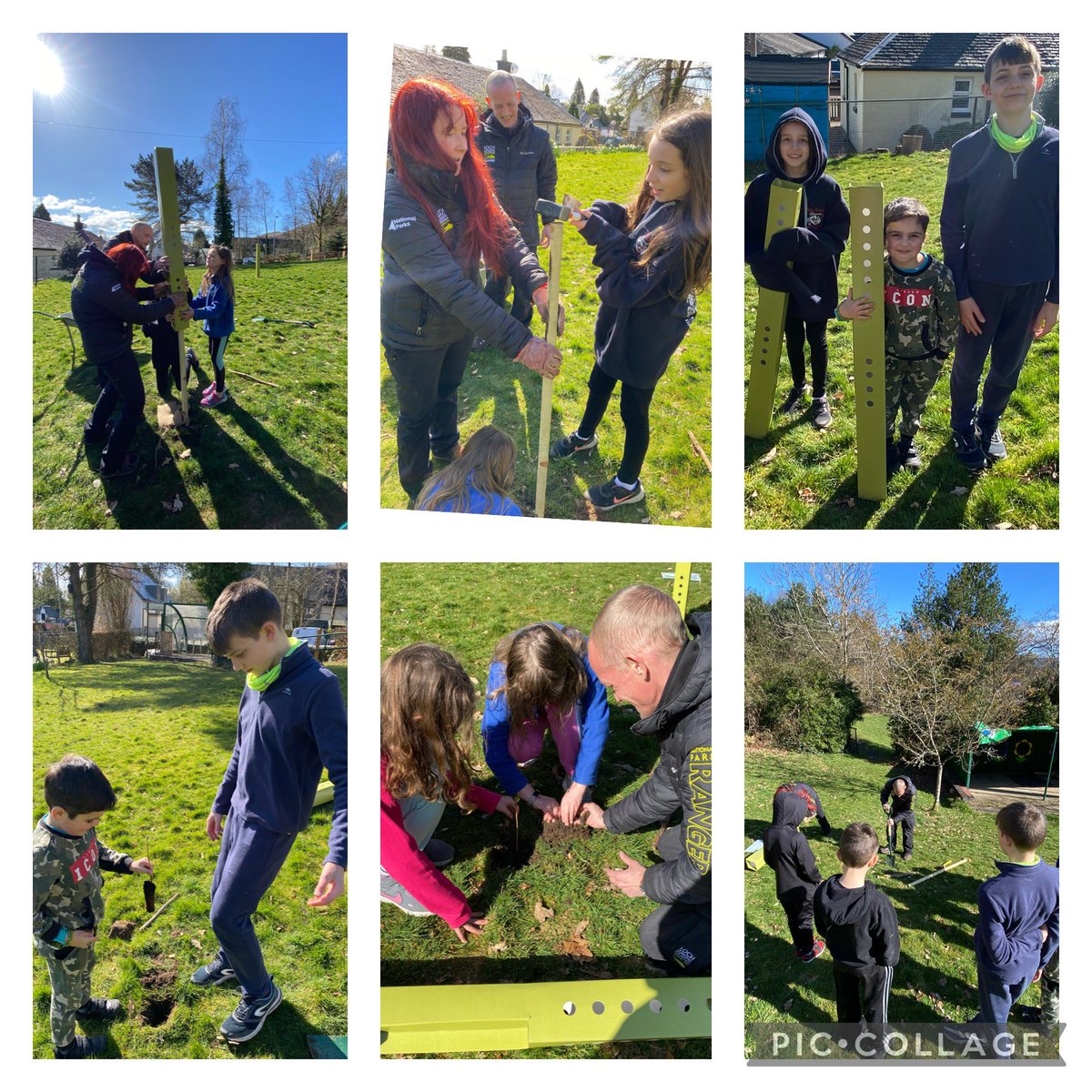 lussprimary's tweet photo. We’ve been busy! This morning we planted some trees with @lomondtrossachs rangers as part of #COP26 legacy. We planted Rowan and Hazelnut. 🌲🍃♻️🌳✊🏻 We are looking forward to talking, writing, composing and looking after them!Watch this space #everytreetellsastory @COP26 https://t.co/ATKOPnA8Br